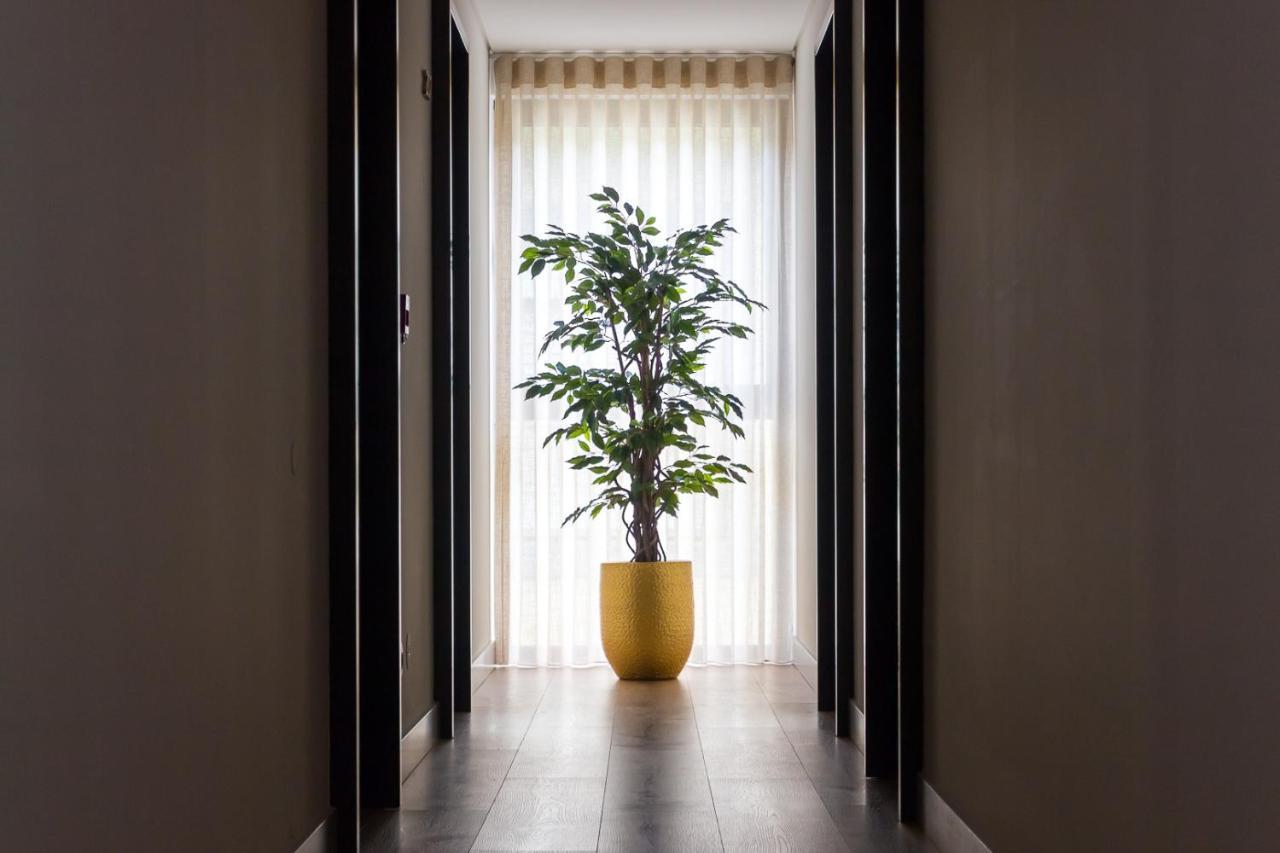Ribeira House Bed & Breakfast Mirandela Ngoại thất bức ảnh